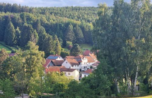 Superior - Ferienhaus am Engelsbach im Thüringer Wald - Photo 6