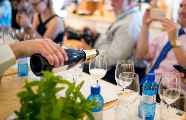 Degustazione di vino, formaggio e olio alla cantina Matarromera - Foto 2