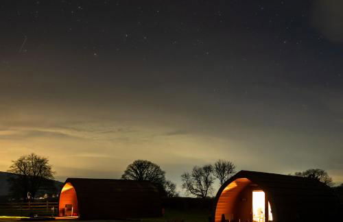 Bwthyn Bach Brefi - Photo 21