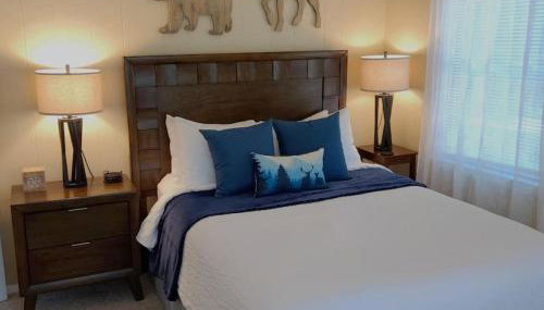 Lily Pad North at Loon Lake near Gore Mountain - Foto 3