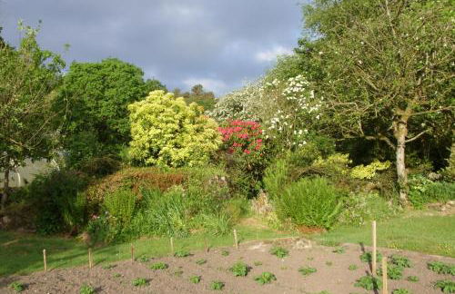 Springfield - Foto 19