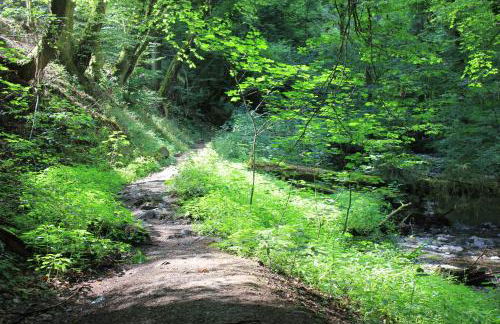 Ferienhaus Däschinger Das Zweiradparadies - Foto 60