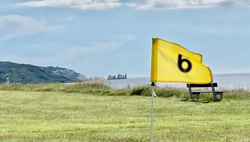 CHINE COTTAGE self-catering coastal bungalow in rural West Wight - Foto 3