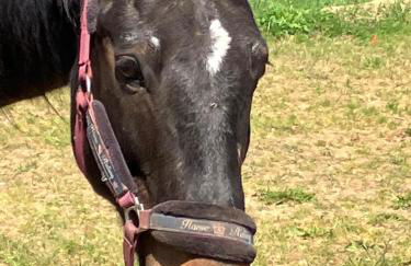 Ferienwohnung Aussicht, Monheimer Alb, Altmühltal - Foto 20