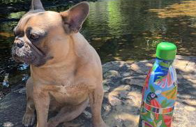 Pousada Villa Cachoeira - Foto 41