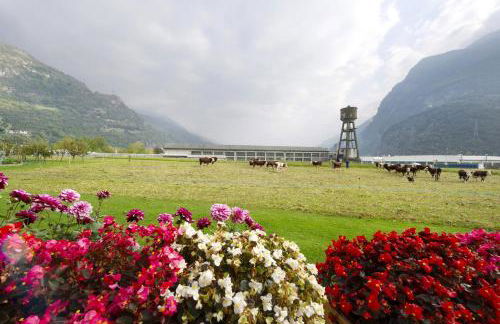 Agriturismo La Grange - Foto 9