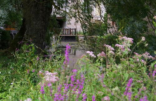 Moulin de Charme au Cœur du Berry, Proche Étang et Châteaux - FR-1-591-769 - Foto 26