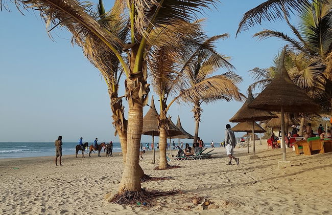 Camara Gardens Apartments with Pool - Photo 13