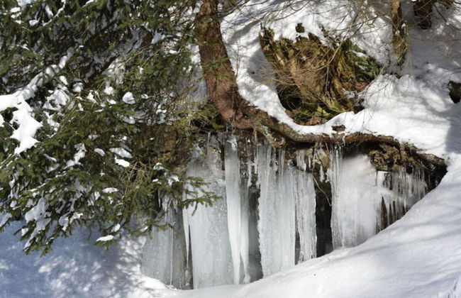 Holiday Apartment Busch - Foto 23