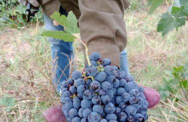 Agriturismo La Bulletta - Photo 79