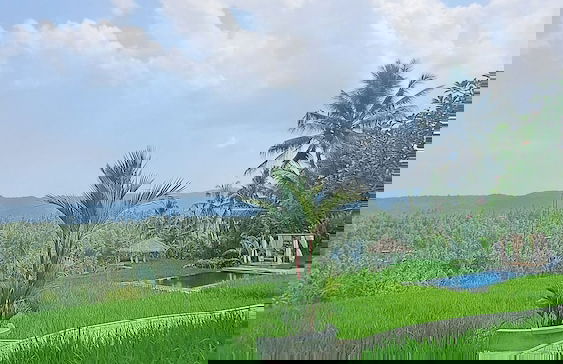 Bali De Pardis Cottage - Foto 38