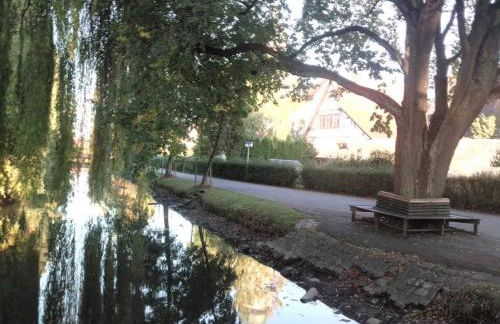 FeWo im Mesnerhaus Mengen - Foto 19