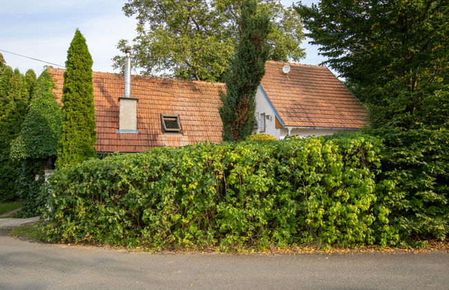 Horní Věstonice - Foto 19