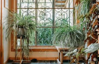 Oak Meadows House - A unique home near Yosemite - Foto 40