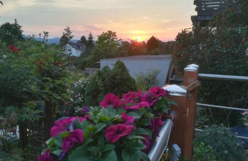 Appartment Fasanenhof Klinikum und Uni nah mit Netflix - Foto 38