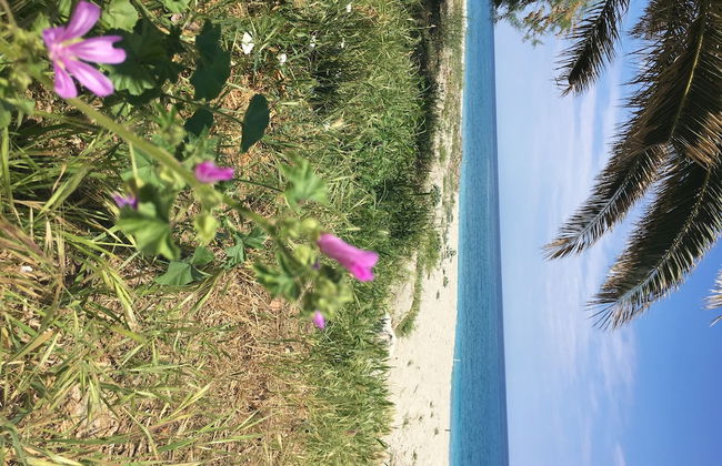 Agios Ioannis Luxurious Beachfront Apt - Foto 50