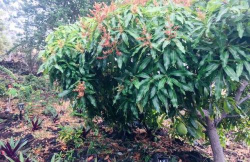 Idyllic Getaway with Ocean Views in Captain Cook, Hawaii - Foto 13