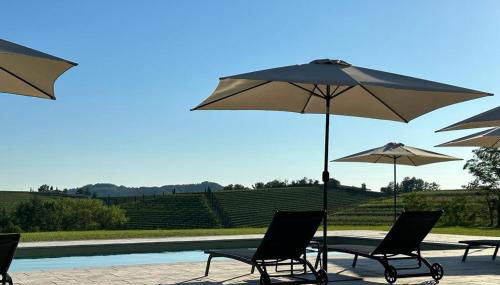 Bosco Romagno - Photo 5