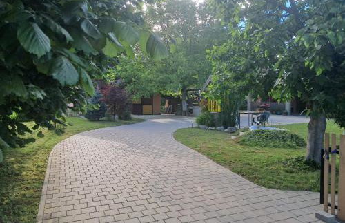 Paun - Photo 41