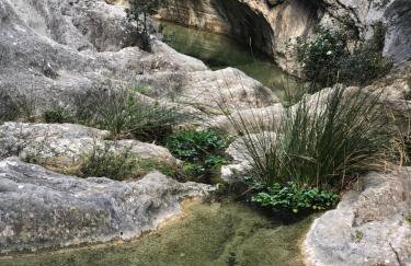 Villa au cœur de la Provence en pleine nature plage a 30 kilometres - Foto 65
