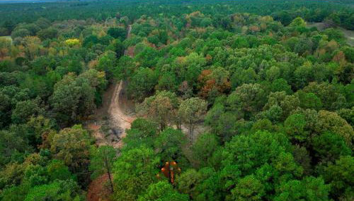 Zen gardens - Foto 2