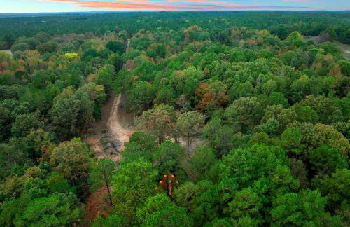 Zen gardens - Foto 2