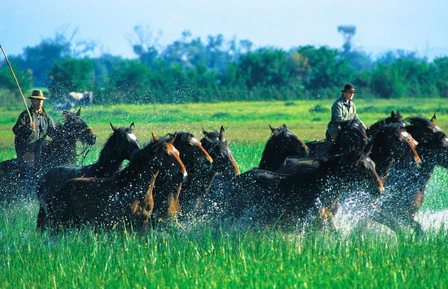 Agriturismo La pulledraia - Foto 24