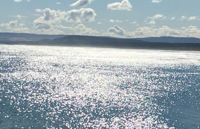 Beachfront Panoramic Seaview Free Wifi & Parking - Photo 1