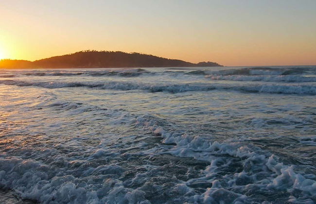 Excursion sur l'île de Campeche - Photo 6