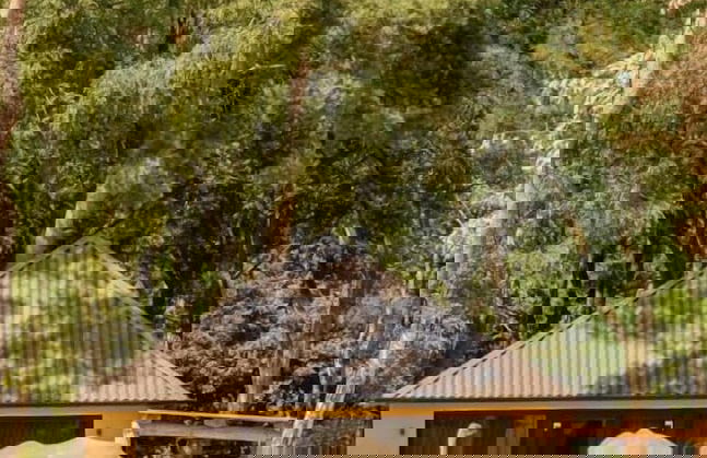 Safari Resort Beekse Bergen - Foto 25