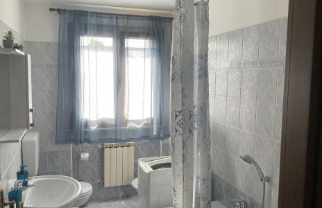 Rose e Frutta - Yellow Daisy - Foto 25