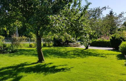 Ferienwohnung Neumann - Foto 18