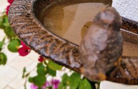 Corte Dioniso Eco Apartments & Suites - Foto 62