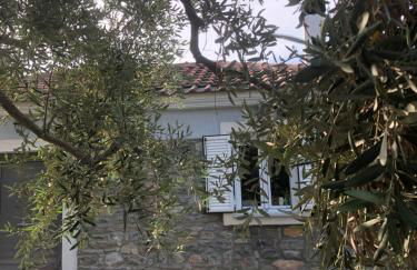 Emmeleia's - Photo 19