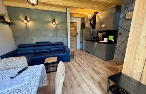 Domki Nad Starym Potokiem - Foto 7