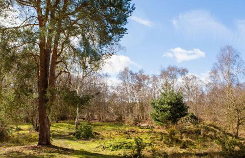 The Retreat - Foto 18