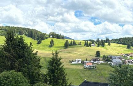 Chalet Foret - Ferienhaus - Foto 3