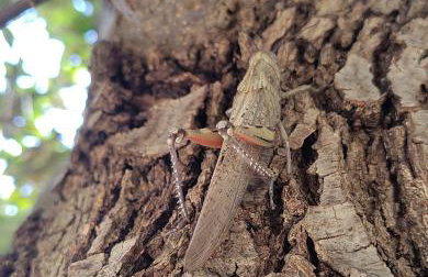 Apartman Ksenija - Photo 24