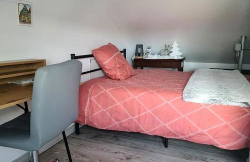 Maison Cosy Mulhouse - Foto 16