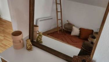 Gîte Animals King'Dôme 8min du Zoo de Beauval - Photo 3