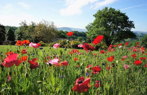 Domaine des Marequiers Le Gite Asphodèle - Foto 1
