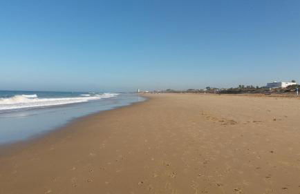 Casa Albahaca - Foto 27