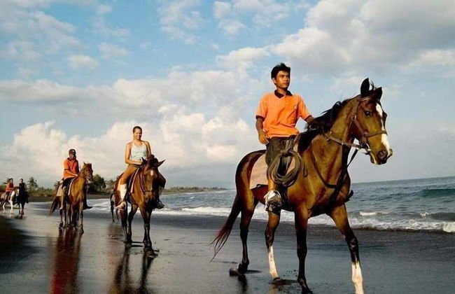 Stella Classic Apart - Photo 49