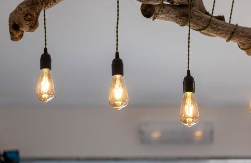 The Pig Arc - Foto 33