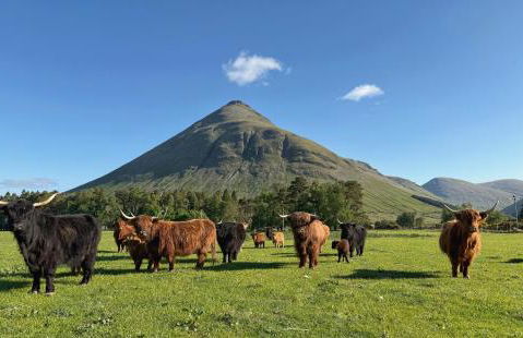 Auch - Cottages - Photo 14