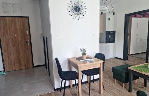 Apartament Słoneczny Taras nad Baryczą - Foto 31