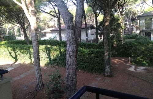 Holiday home in Eraclea Mare 25698 - Foto 35