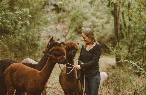 Cascina De' Fagiolari - Foto 14