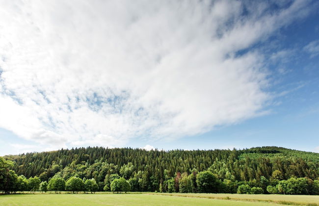 Accessible Stay in Nature - Foto 40