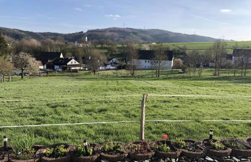 Ferienwohnung Wiesenblick - Foto 1